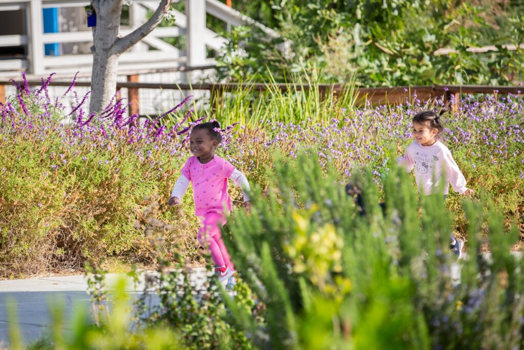 Children exploring the garden