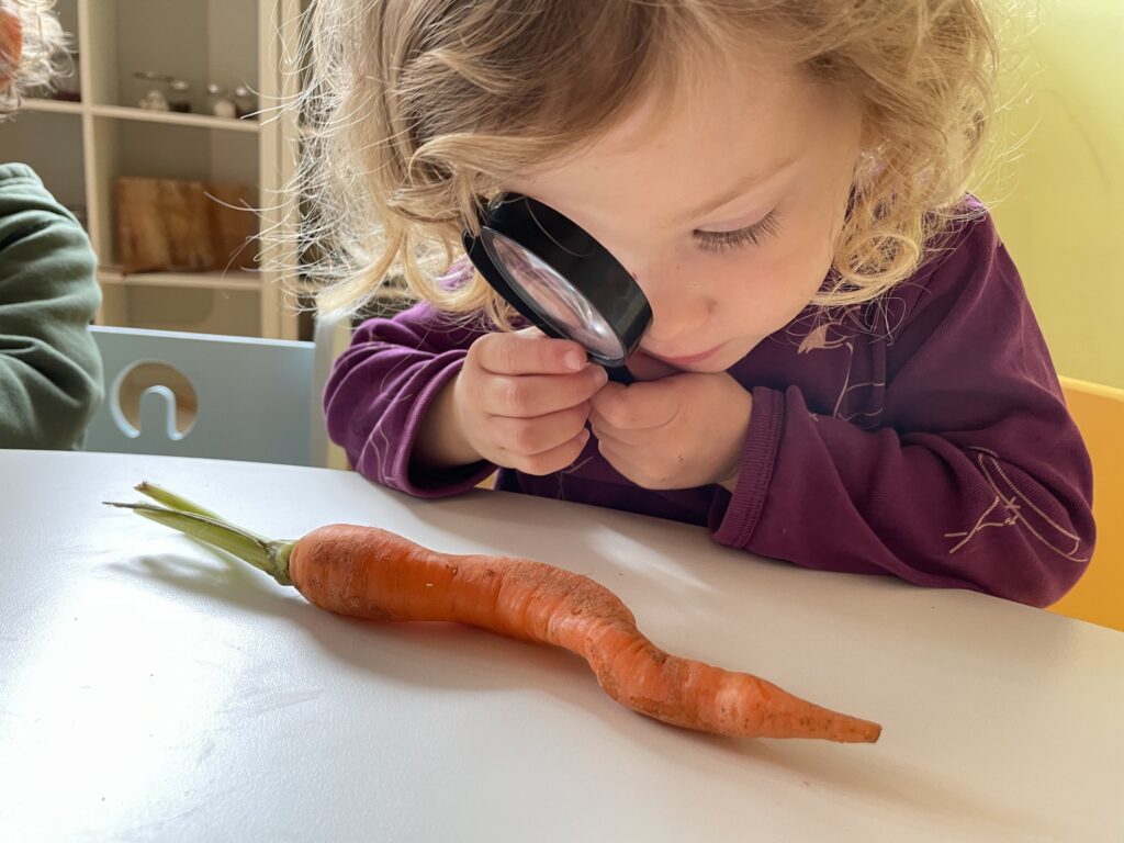 Child examining a carrot with a magnifying glass